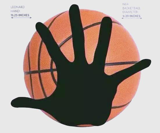 猛龙击败雄鹿，逆转取胜