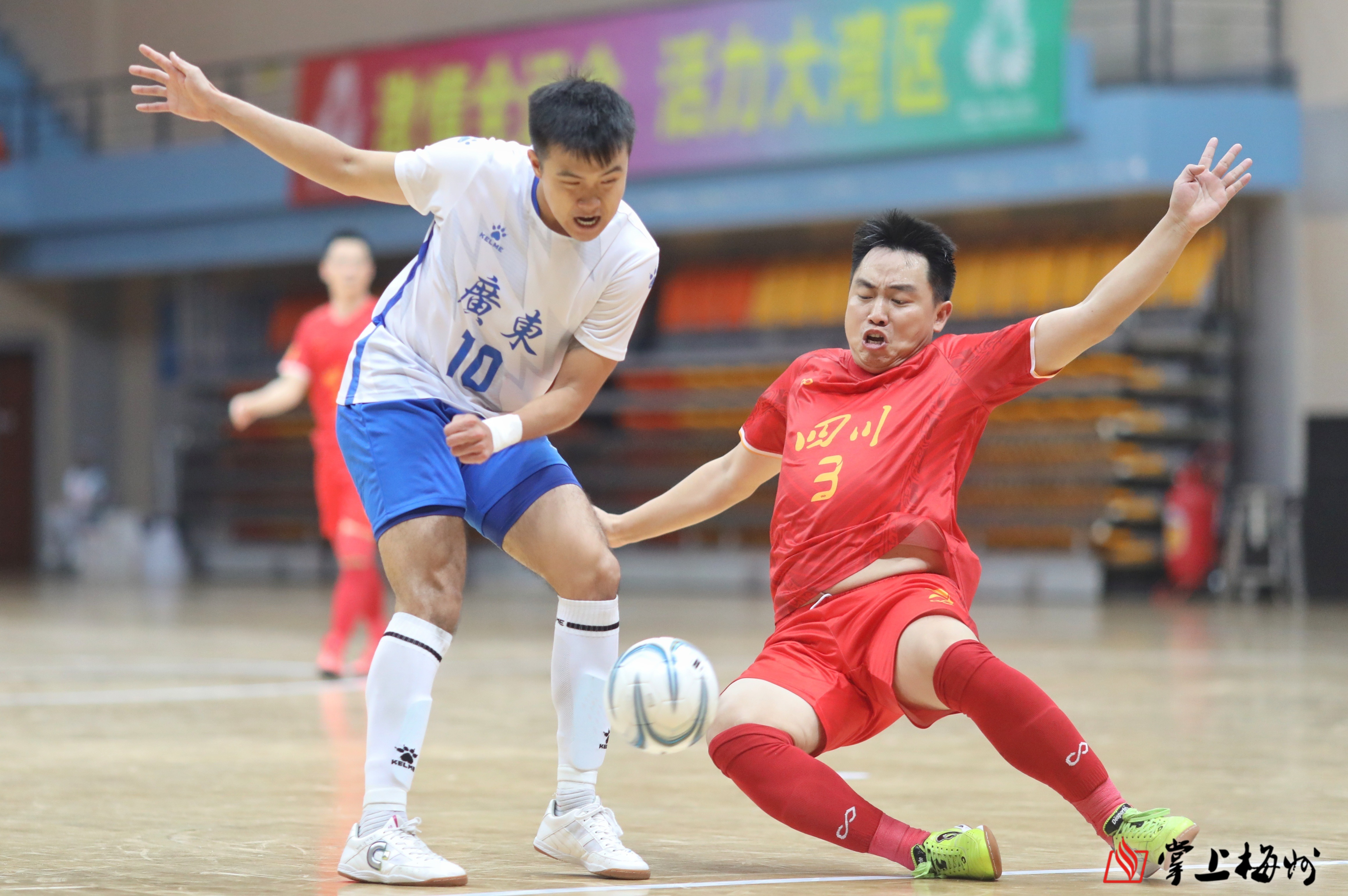 广东队在比赛中以高水平表现获胜